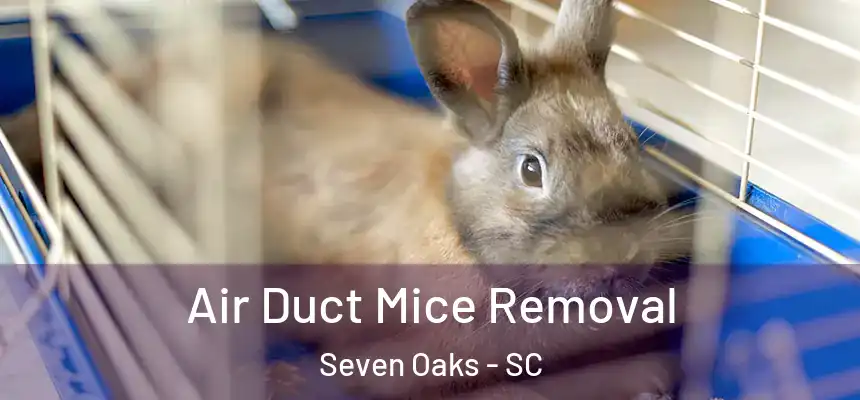  Air Duct Mice Removal Seven Oaks - SC