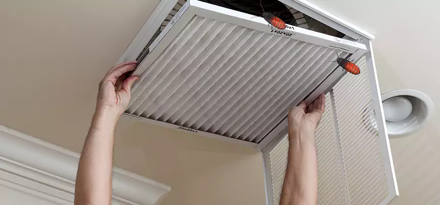 Preventive Cockroach-Proofing for Ducts in Seven Oaks