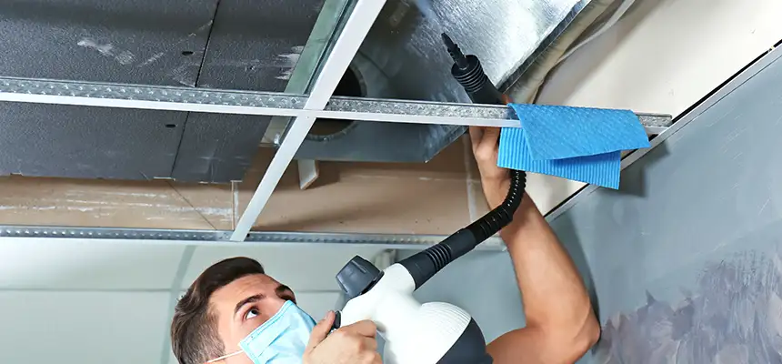 Our Air Duct Rodent Removal Services in Seven Oaks, SC