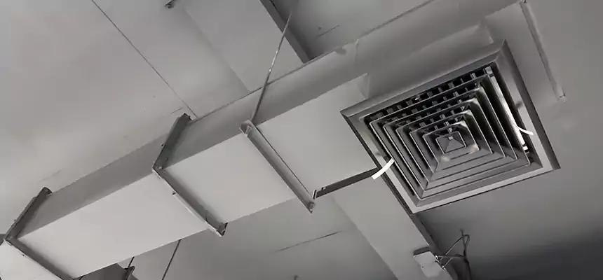 Our Rodent Droppings In Vents Services in Seven Oaks, SC