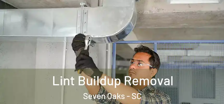  Lint Buildup Removal Seven Oaks - SC