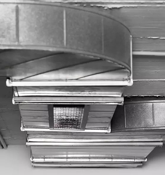 Professional Air Duct Pest Removal in Seven Oaks, SC