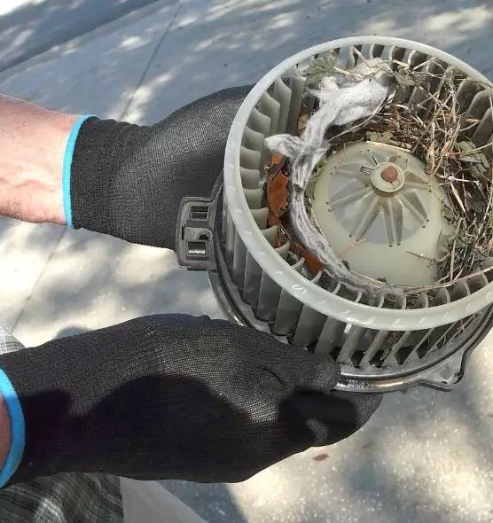 About Air Duct Rat Removal in Seven Oaks, SC