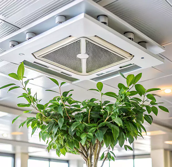 Why Homeowners & Businesses Trust Us in Seven Oaks, SC?